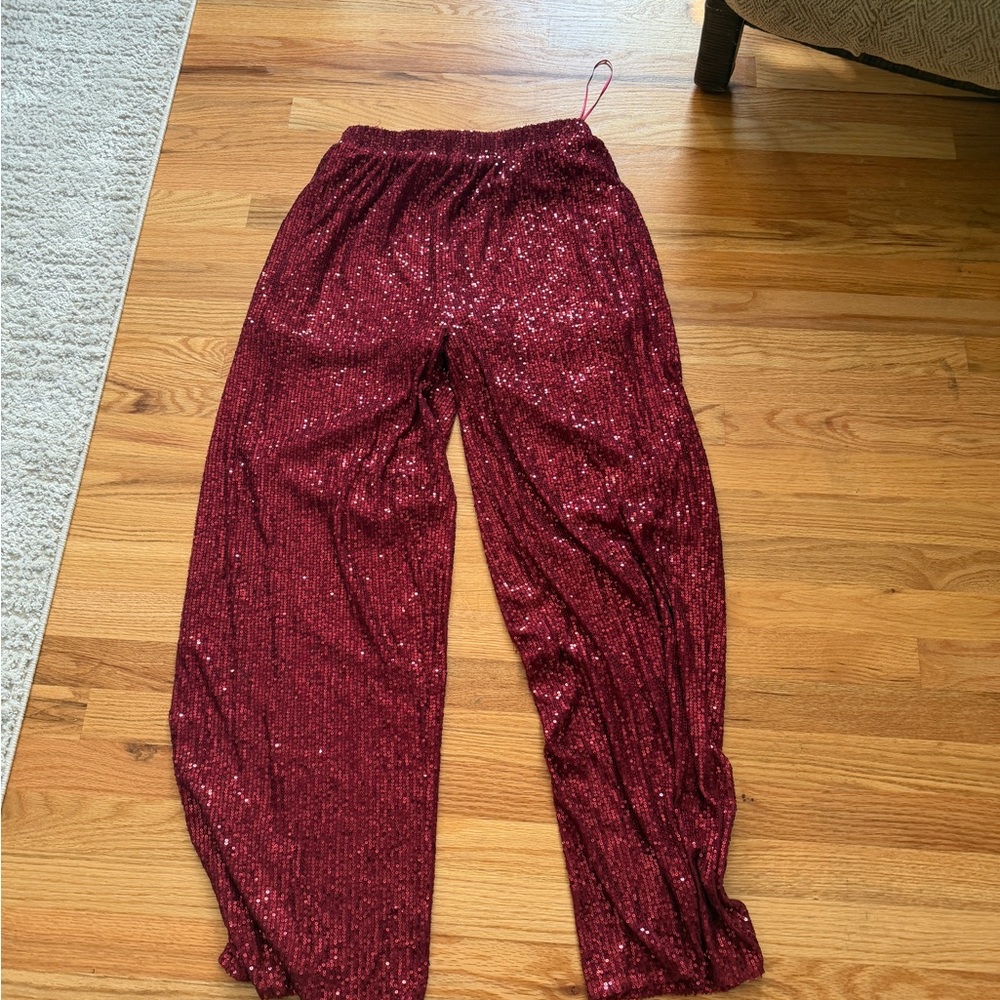 Sz Large Burgundy SequinPants New